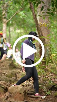 BIB:  <button type="button" onclick="openModal(27583144)" class="btn btn-primary btn-sm float-right" data-toggle="modal" data-target=".modal-high-quality">
                <i class="fa fa-download"></i> Download
                </button>